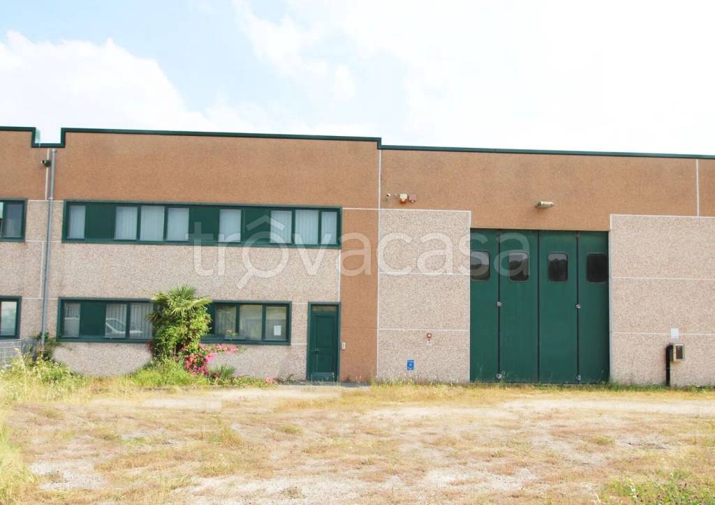 immagine annuncio 4 di 15