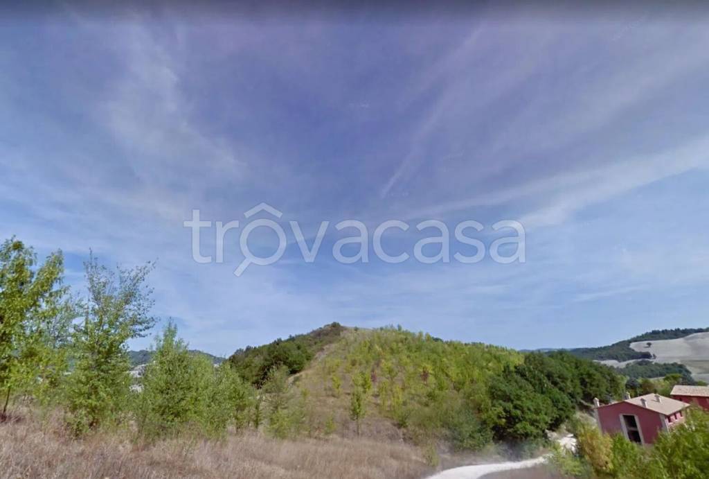 immagine annuncio 11 di 14