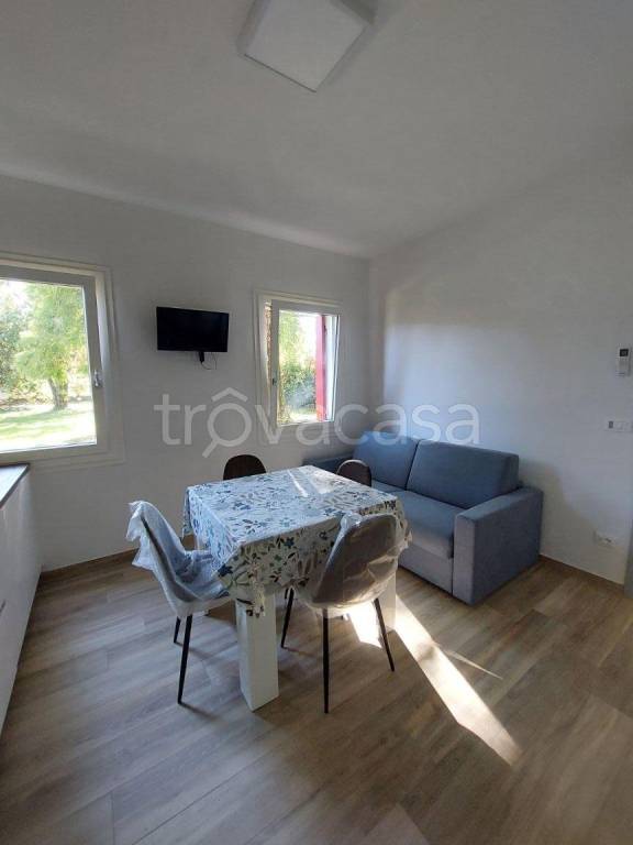 immagine annuncio 2 di 13