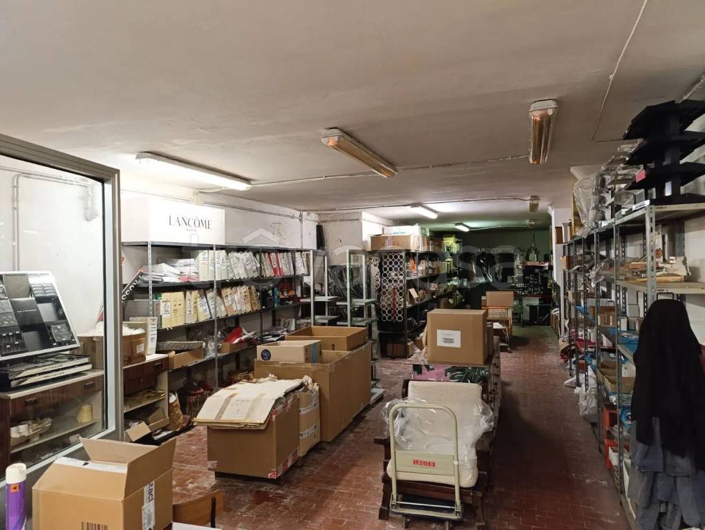 immagine annuncio 5 di 13