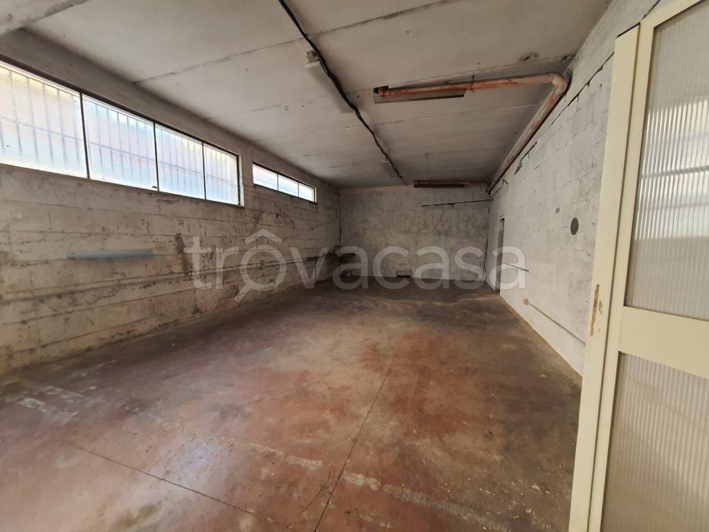 immagine annuncio 1 di 8