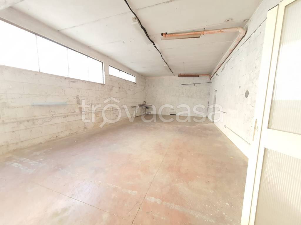 immagine annuncio 2 di 8