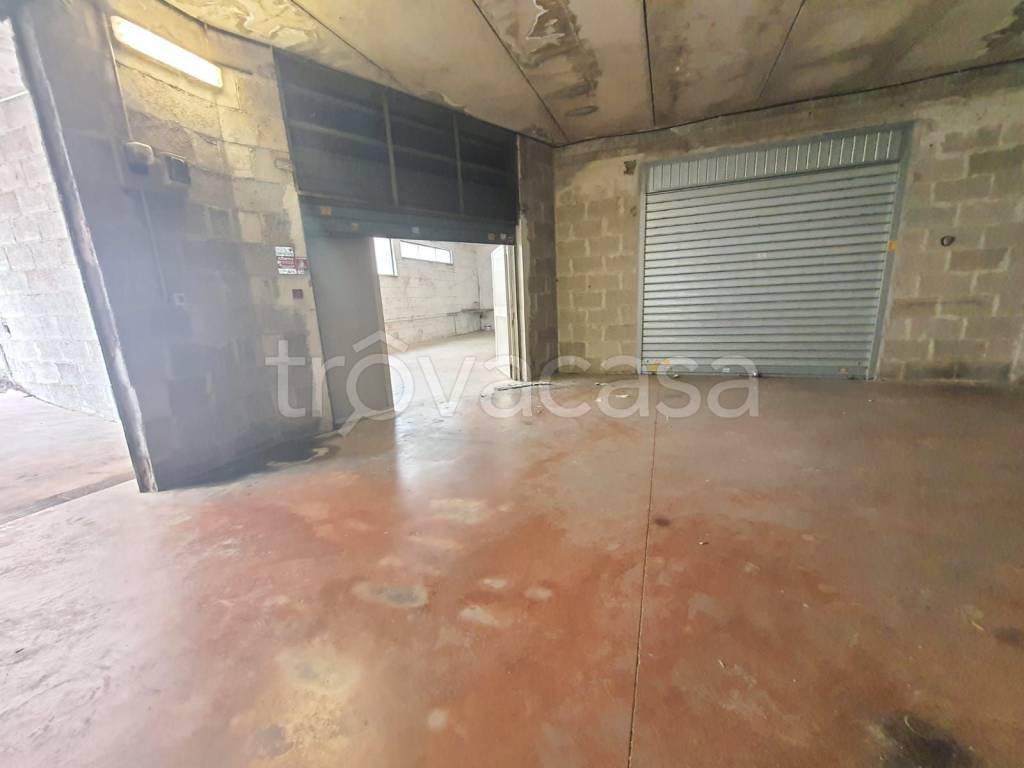 immagine annuncio 6 di 8