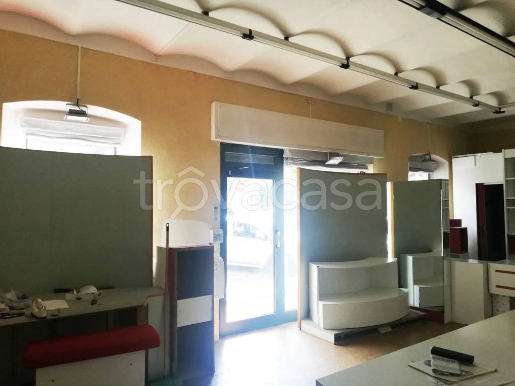 immagine annuncio 2 di 12