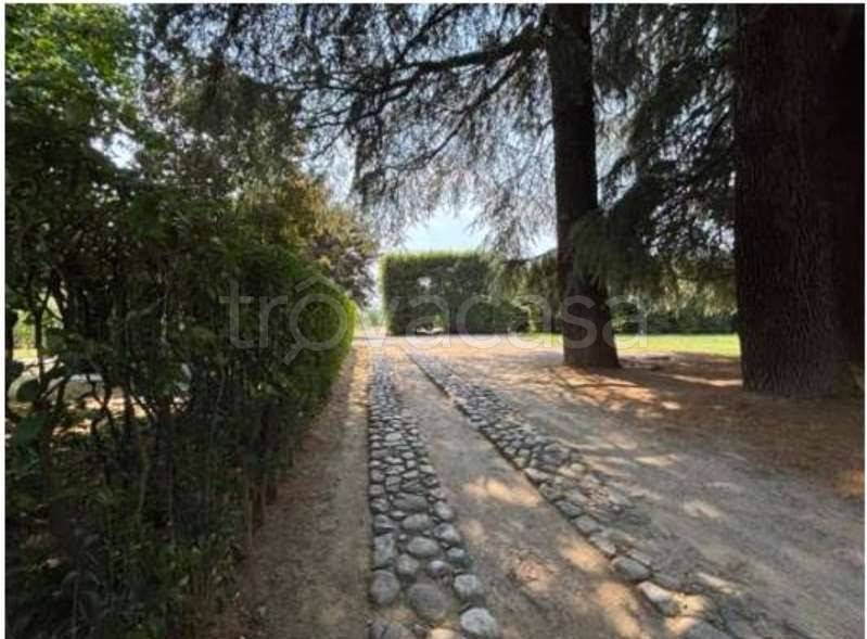 immagine annuncio 2 di 14