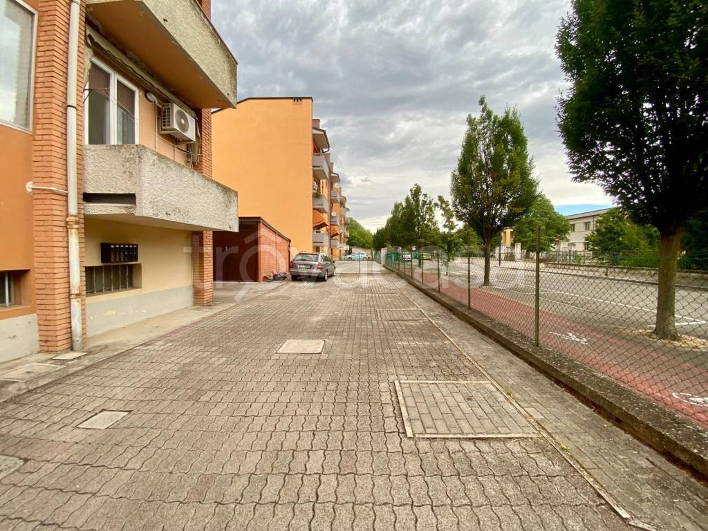 immagine annuncio 11 di 13