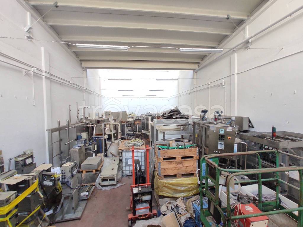 immagine annuncio 7 di 13