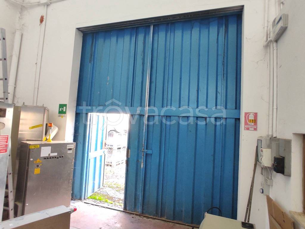 immagine annuncio 6 di 13