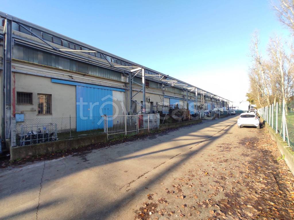 immagine annuncio 3 di 13