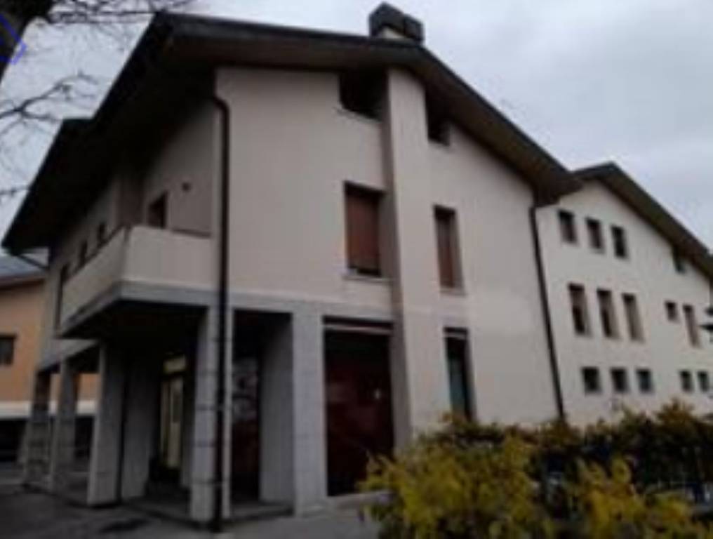 immagine annuncio 4 di 12