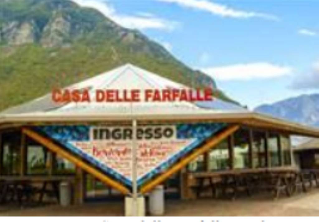 immagine annuncio 8 di 12