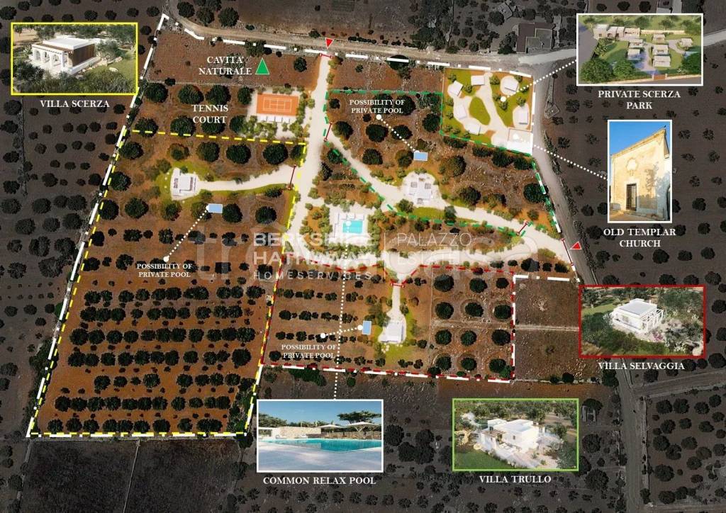 immagine annuncio 12 di 13