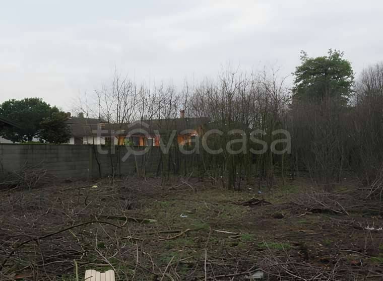 immagine annuncio 10 di 11