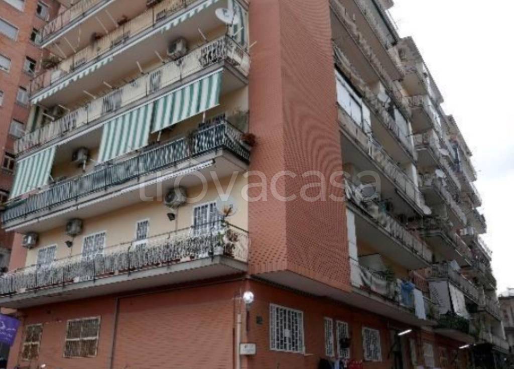 immagine annuncio 1 di 14