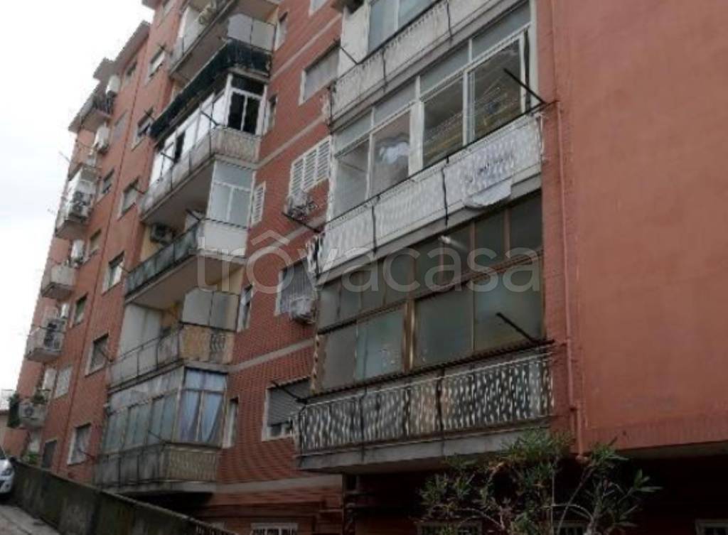 immagine annuncio 2 di 14