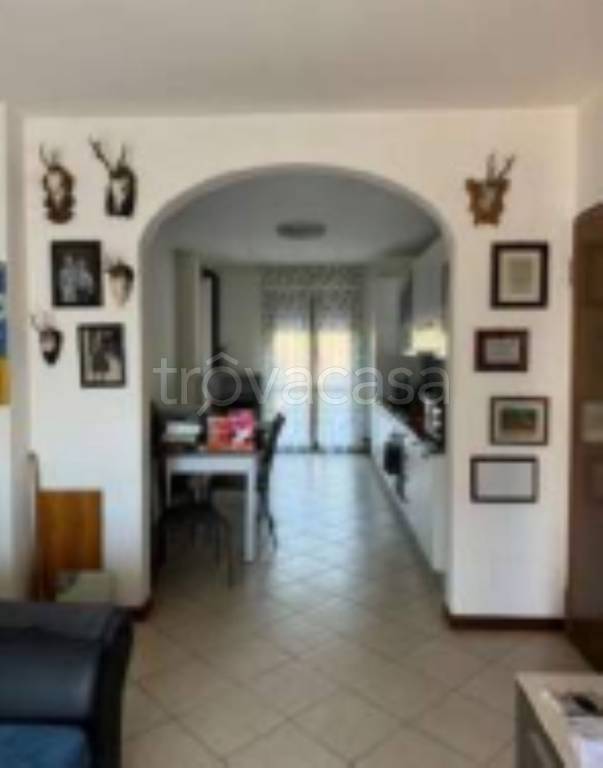 immagine annuncio 4 di 11