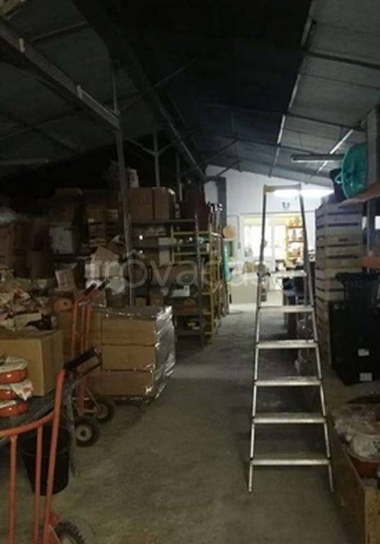 immagine annuncio 3 di 12