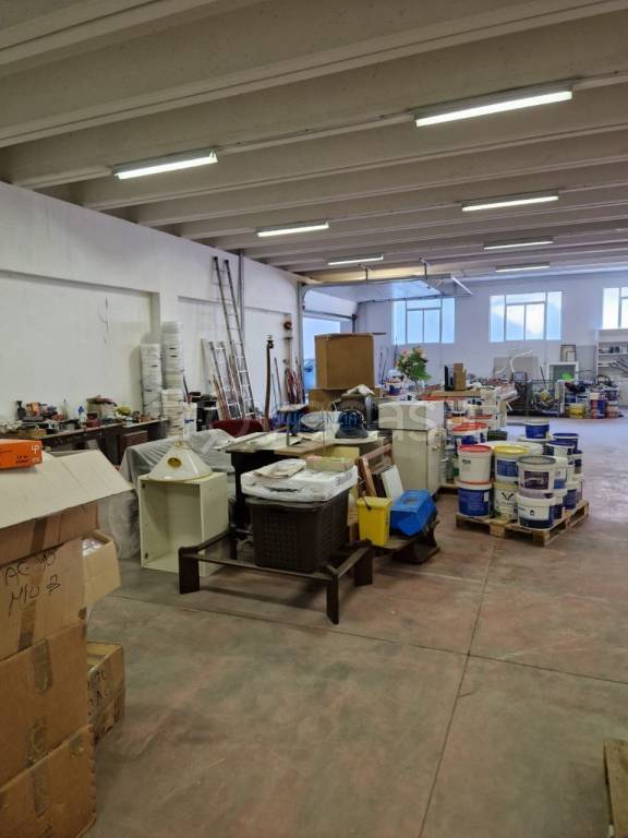 immagine annuncio 10 di 15