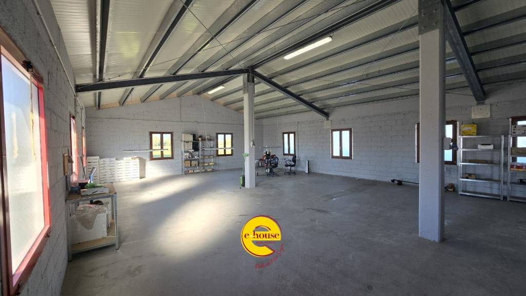 immagine annuncio 1 di 11