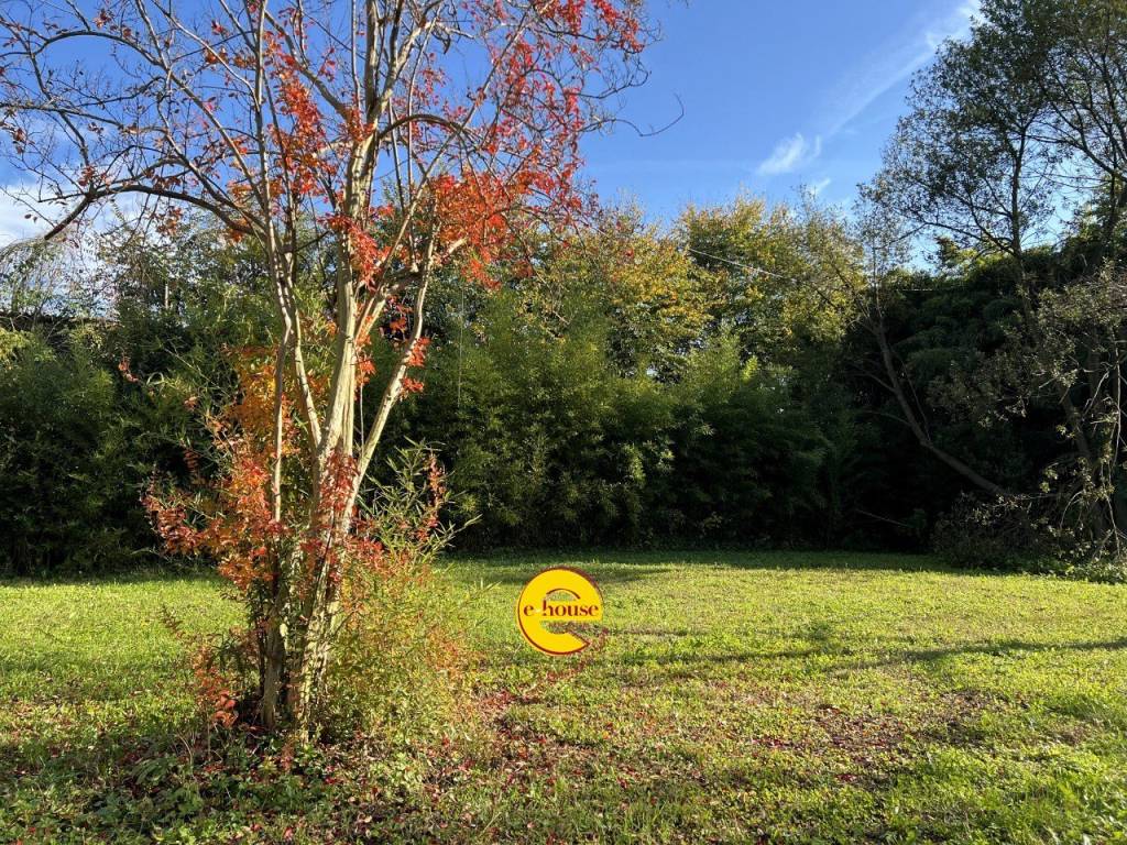 immagine annuncio 4 di 12