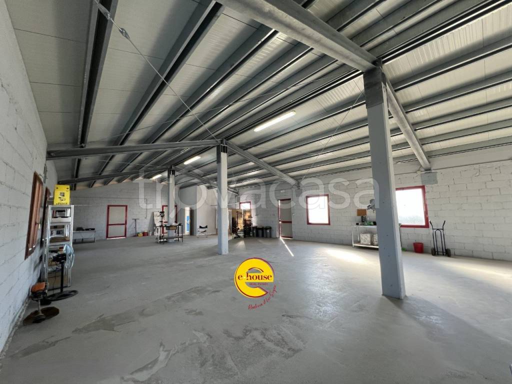 immagine annuncio 2 di 11