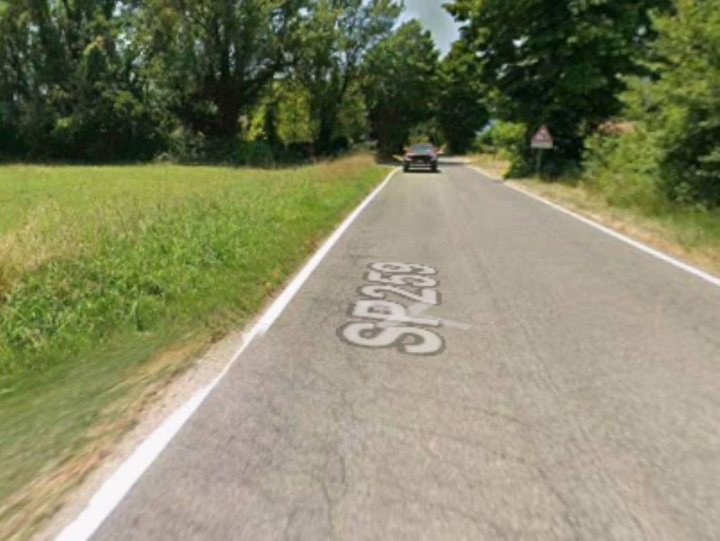 immagine annuncio 2 di 10