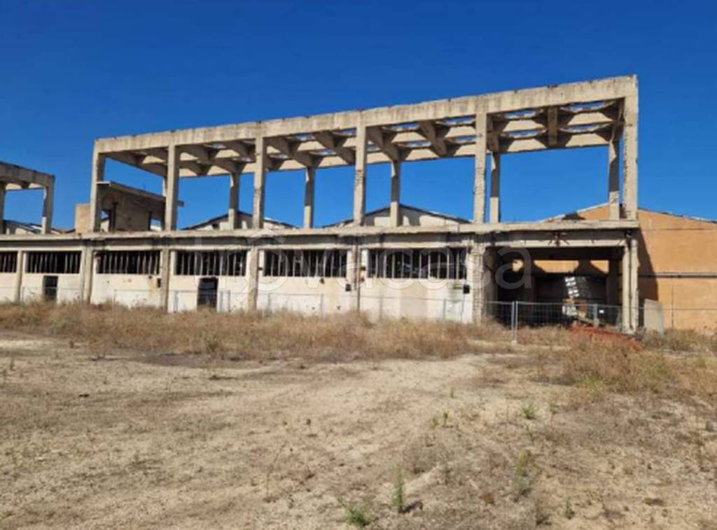 immagine annuncio 8 di 11