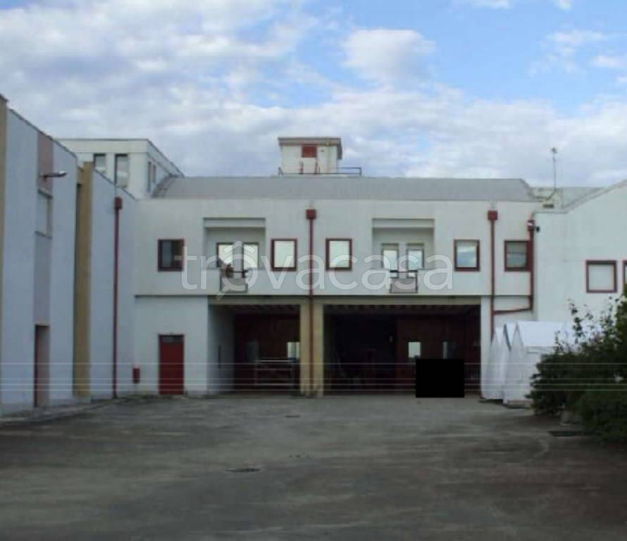 immagine annuncio 2 di 14