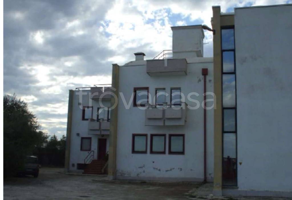 immagine annuncio 4 di 14