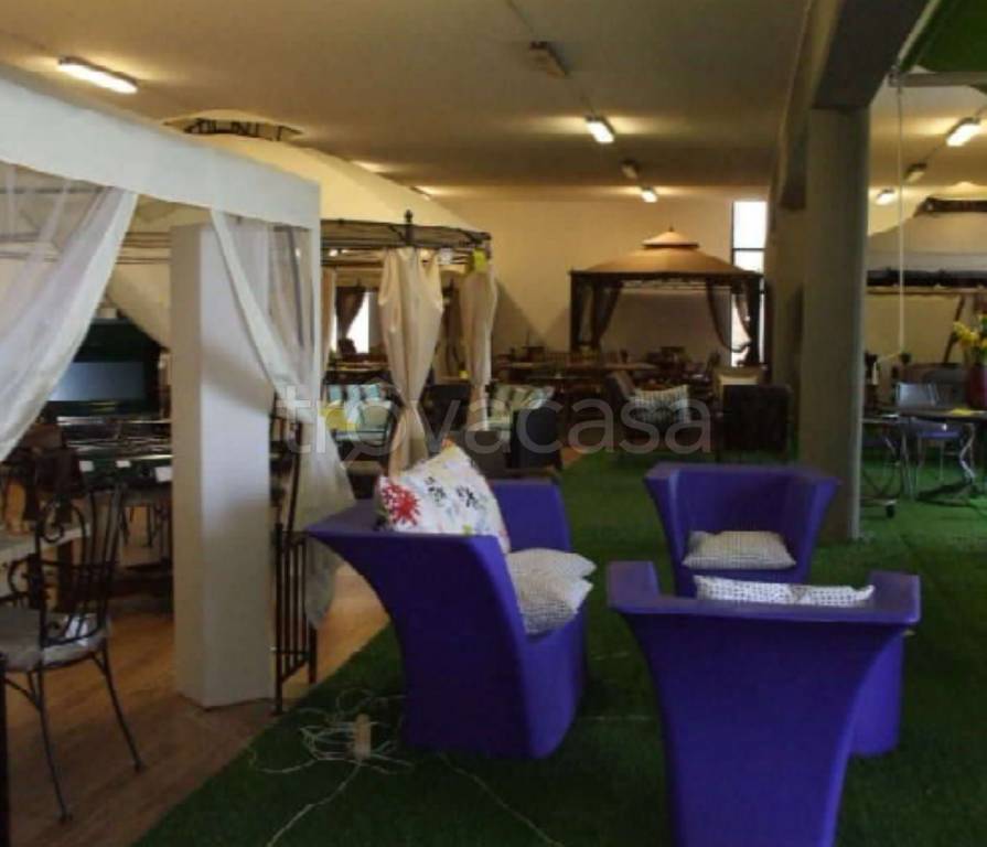 immagine annuncio 5 di 14