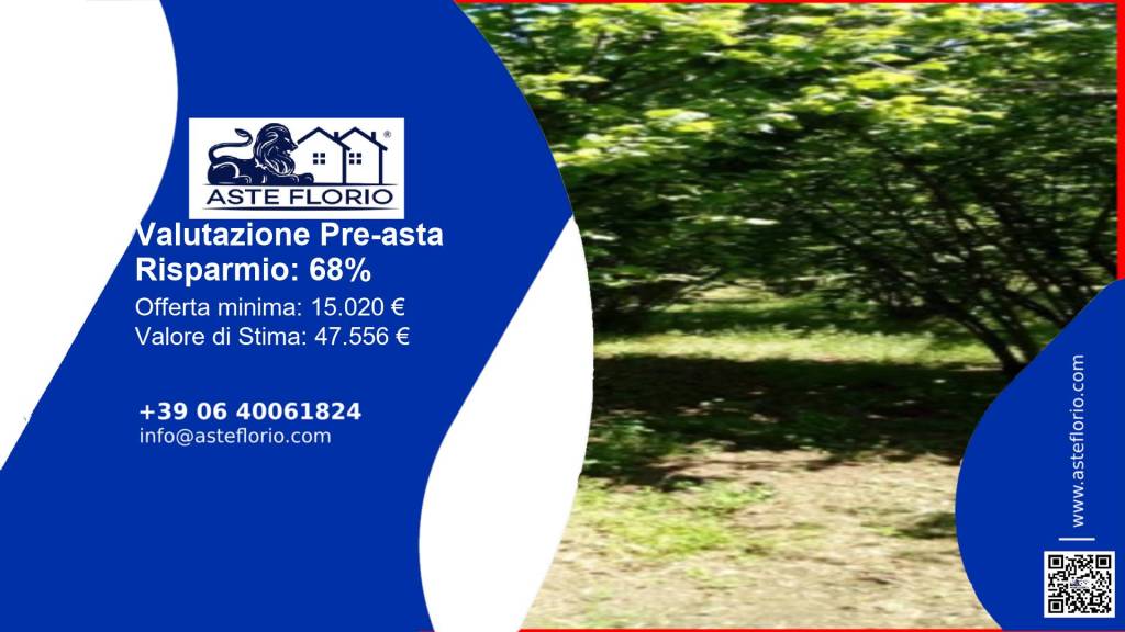 immagine annuncio 1 di 13