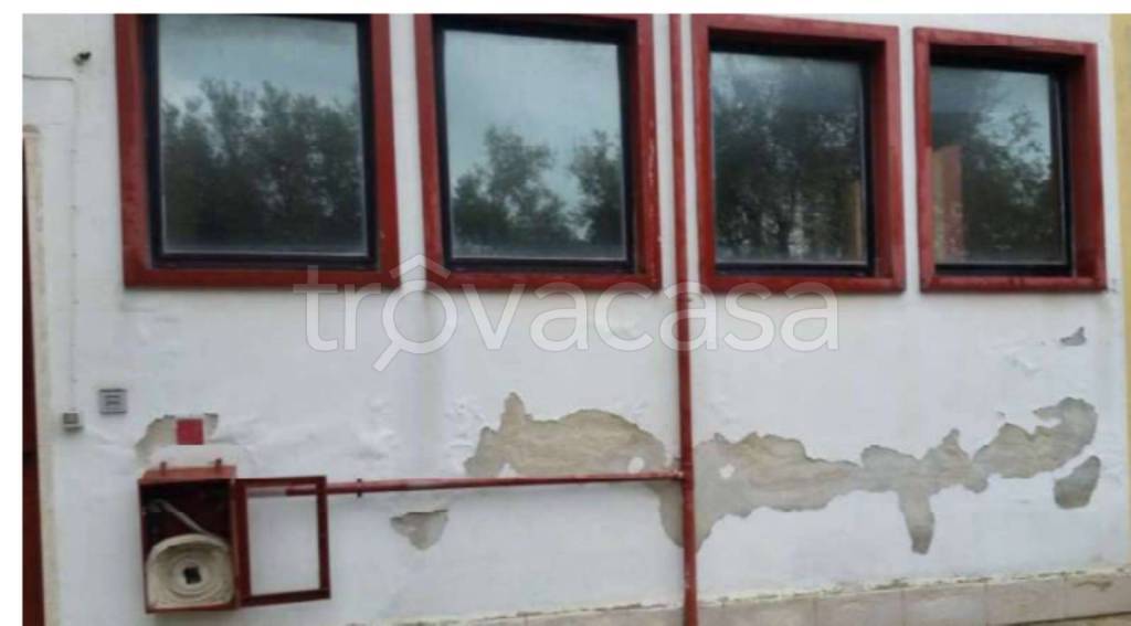 immagine annuncio 13 di 14