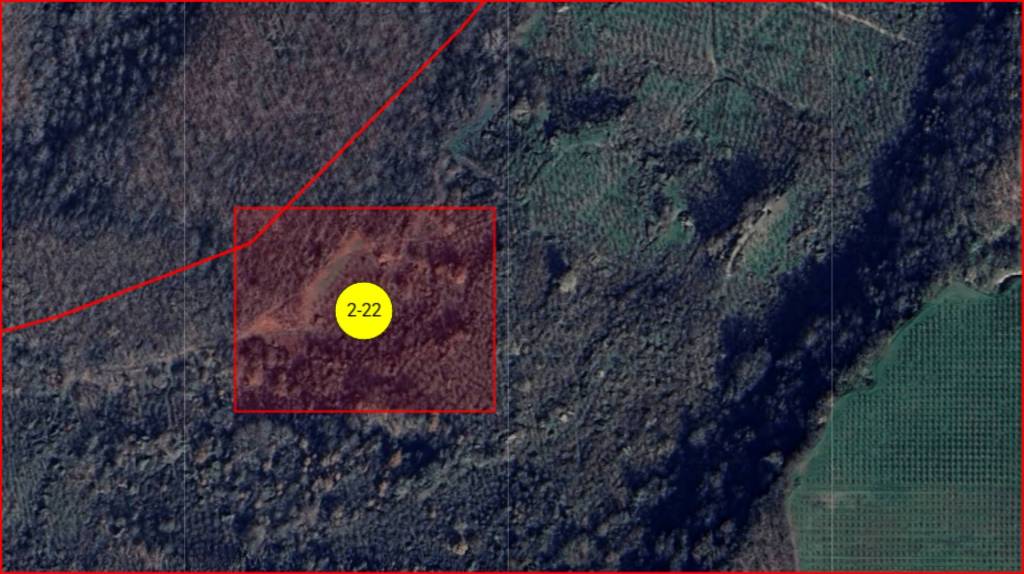 immagine annuncio 11 di 12