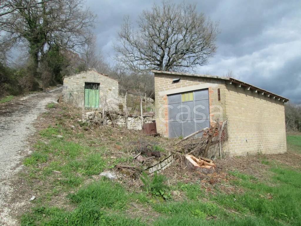 immagine annuncio 3 di 7