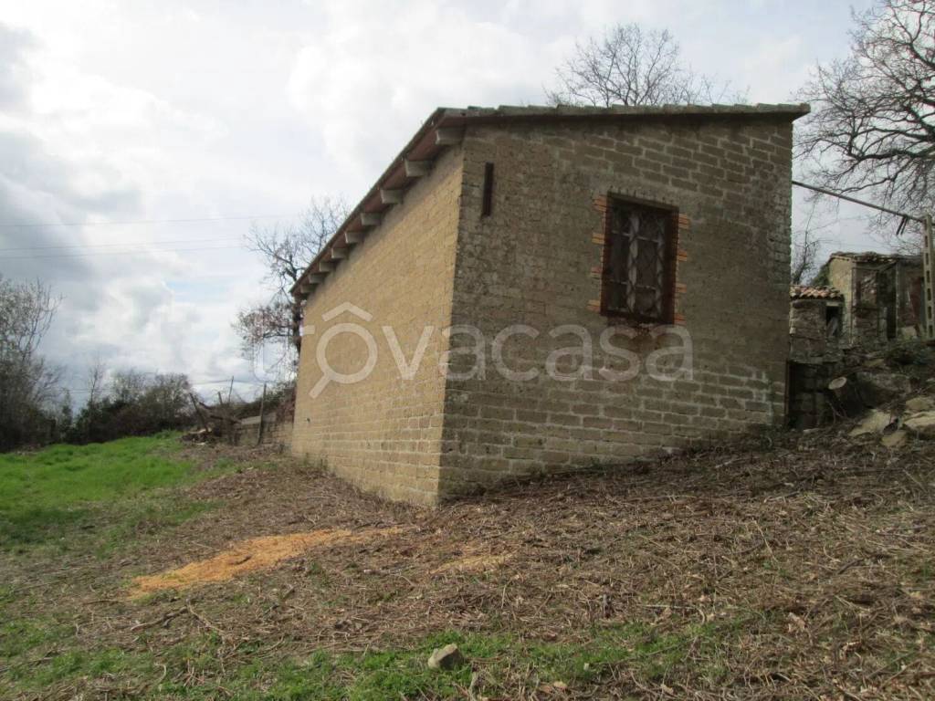 immagine annuncio 4 di 7