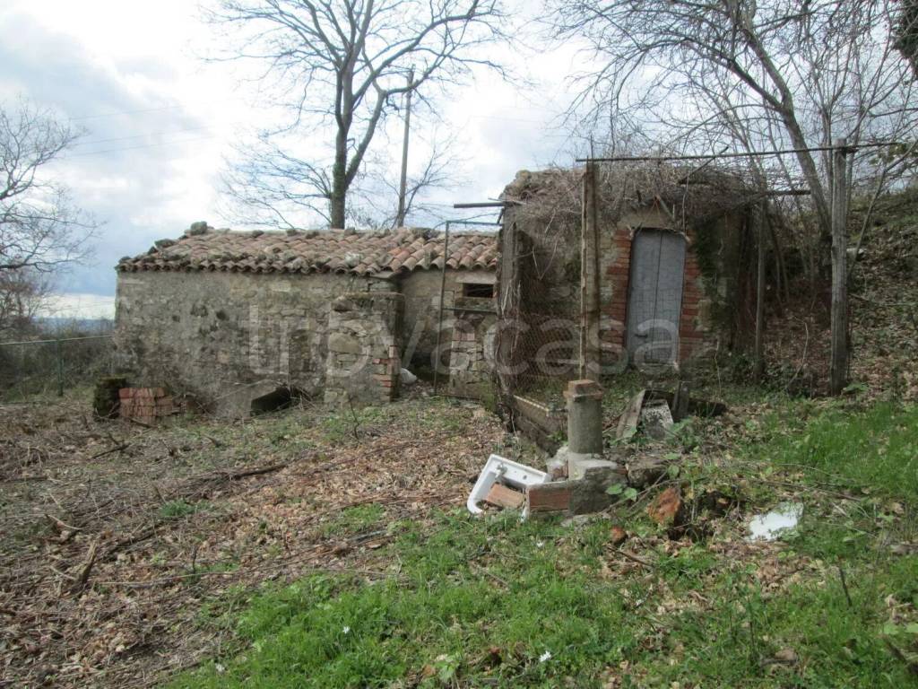 immagine annuncio 5 di 7