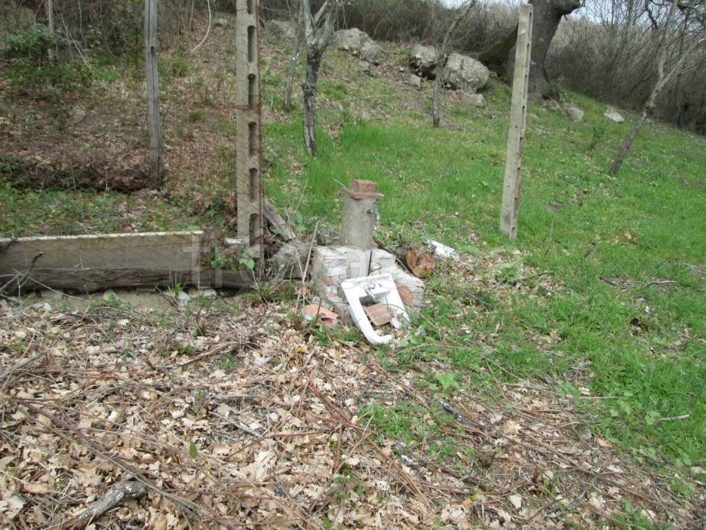 immagine annuncio 6 di 7