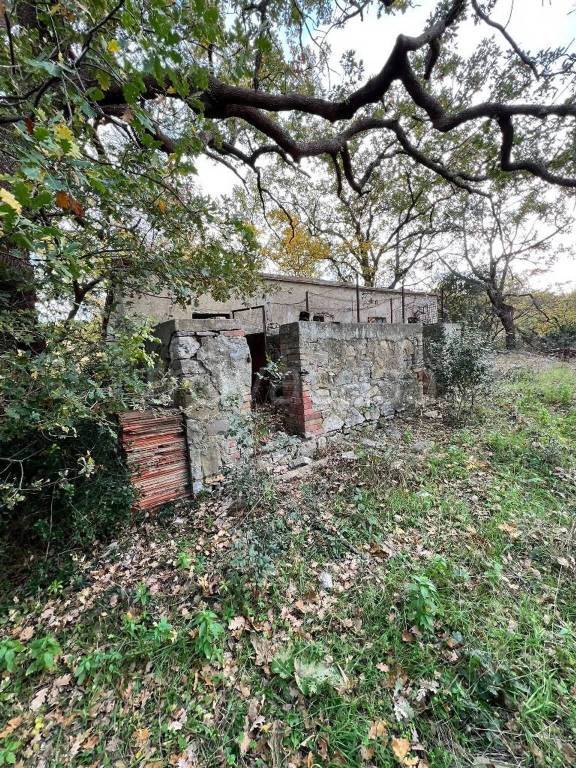 immagine annuncio 5 di 6