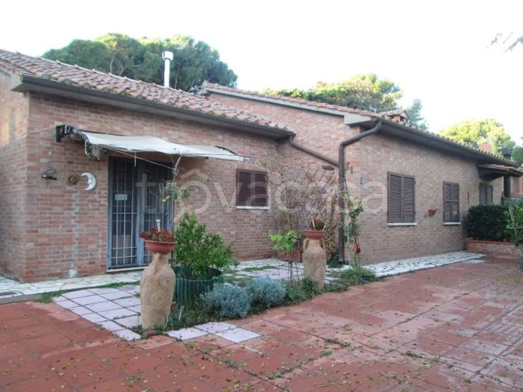 immagine annuncio 2 di 8