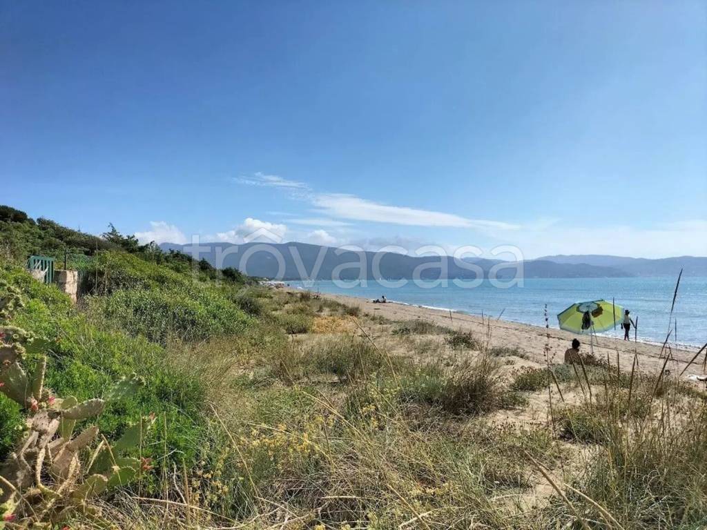 immagine annuncio 5 di 8