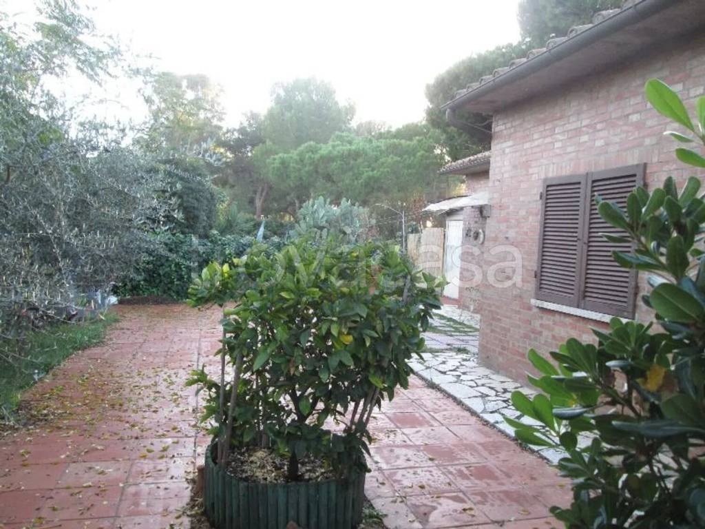 immagine annuncio 6 di 8