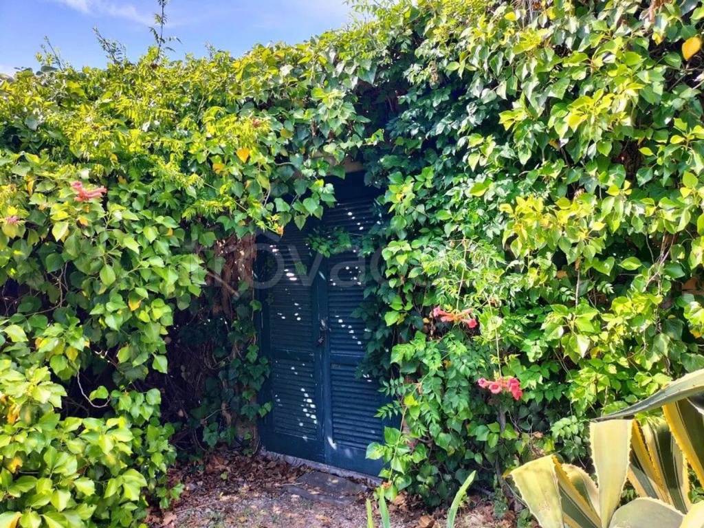 immagine annuncio 6 di 8