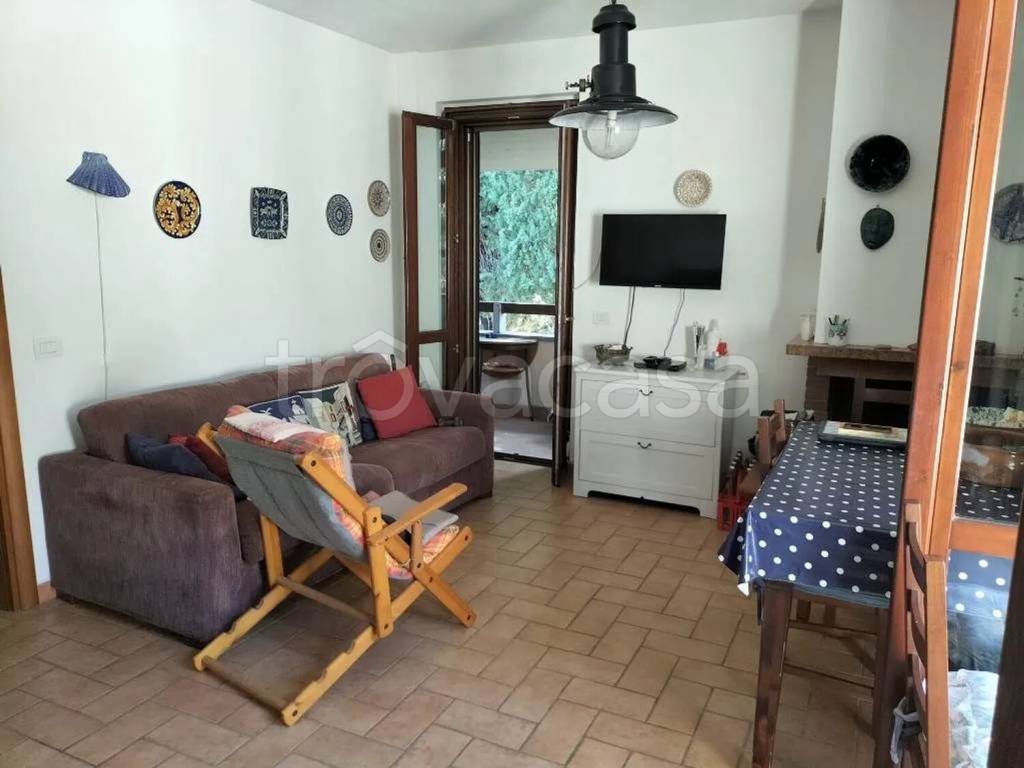 immagine annuncio 2 di 7