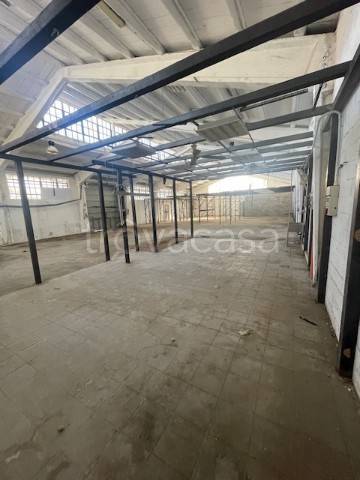 immagine annuncio 11 di 12