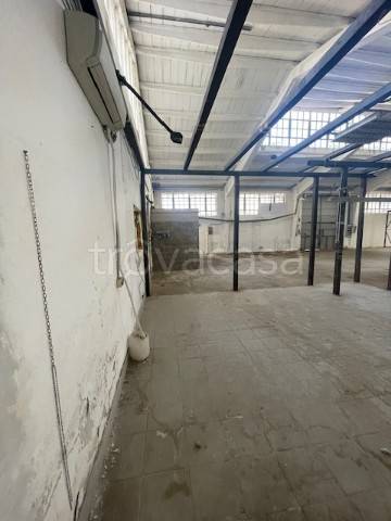 immagine annuncio 3 di 12