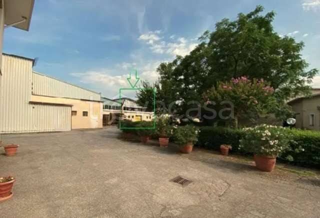 immagine annuncio 1 di 11