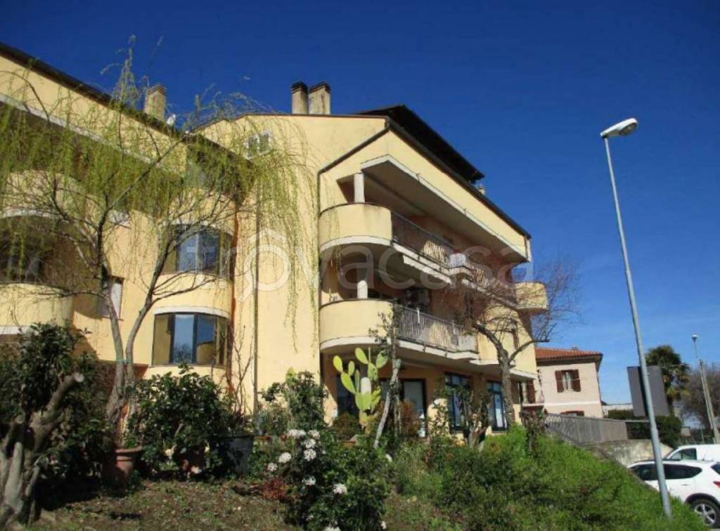 immagine annuncio 1 di 11