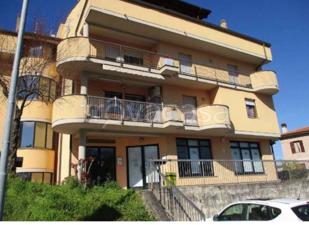 immagine annuncio 2 di 11