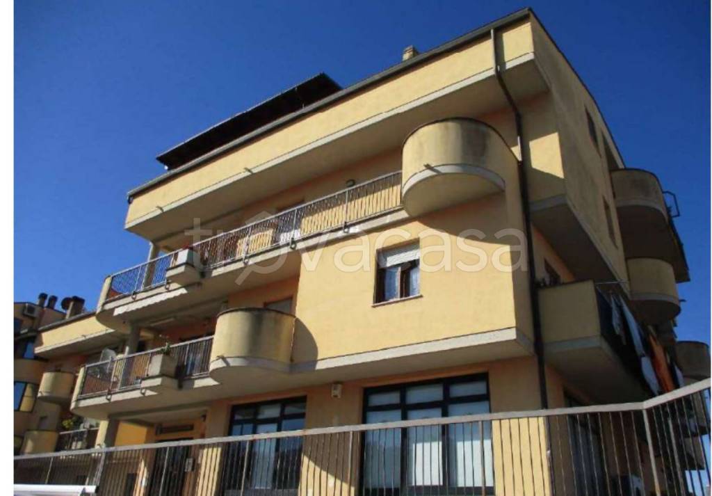 immagine annuncio 3 di 11