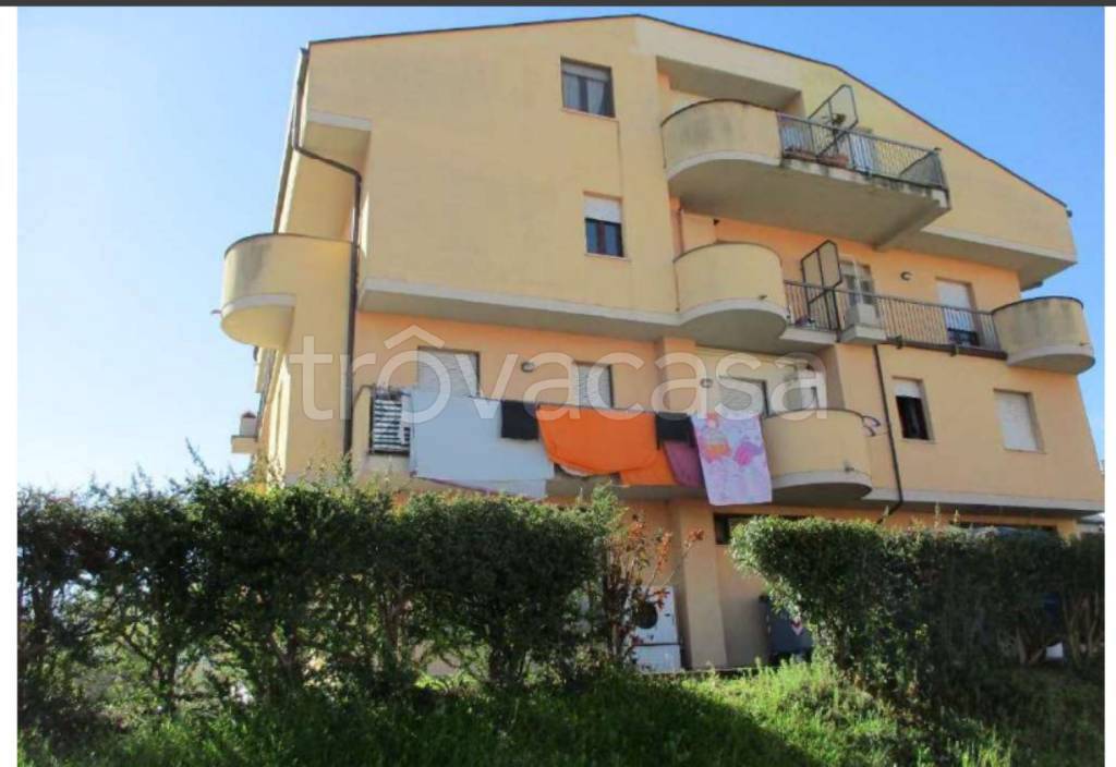 immagine annuncio 4 di 11